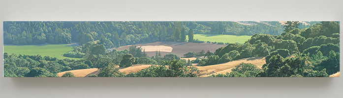 Valley in Early Summer, 2008 / 
oil on polyester / 
9 x 54 in (22.9 x 137.2 cm)
