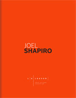 Joel Shapiro