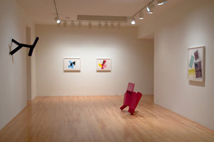 Installation photography, Joel Shapiro