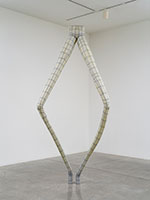 Peter Shelton / 
frogleg, 1999-2000 / 
lead and mixed media / 
131 x 55 x 30 in. (332.7 x 139.7 x 76.2 cm)