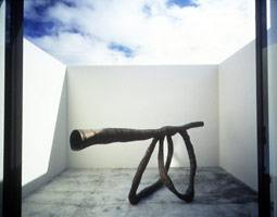 horseheader, 1991 / 
bronze / 
62 x 148 x 48 in (157.5 x 375.9 x 121.9 cm) / 
Private collection