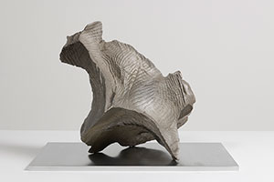 Sui Jianguo / 
Planting Trace -- Constellation 11, 2018 / 
cast bronze / 
17 x 11 7/8 x 15 3/4 in. (43 x 30 x 40 cm)