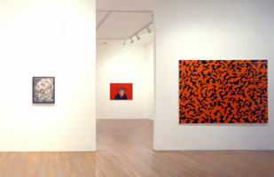 The British Picture installation photography, 1988