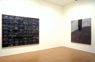 The British Picture installation photography, 1988