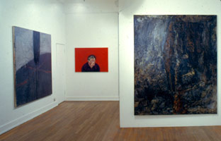 The British Picture installation photography, 1988