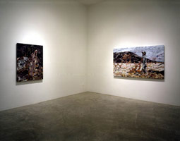 Installation photography / 
Tony Berlant, New Terrain / 
22 April - 22 May 2004 