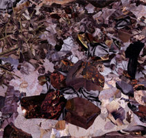 Indian Wells, 2004 / 
Found and fabricated printed tin / 
collaged on plywood with steel brads / 
34 x 36 in (86.4 x 91.4 cm)