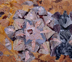 Rancho Mirage #6, 2005 / 
found and fabricated printed tin collaged on plywood with steel brads / 
19 1/2 x 22 1/2 in (49.5 x 57.2 cm)
 