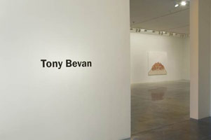 Installation photography, Tony Bevan / 
20 October - 24 November 2007