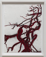 Tony Bevan / 
Tree, 2012 / 
pigment and acrylic on paper / 
24 1/2 x 18 3/4 in. (62.2 x 47.6 cm)