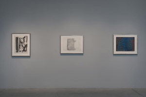 Installation photography, William Brice: Drawings 1960 - 1985 