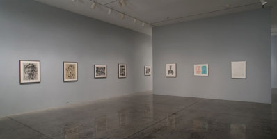 Installation photography, William Brice: Drawings 1960 - 1985 