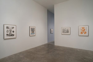 Installation photography, William Brice: Drawings 1960 - 1985 