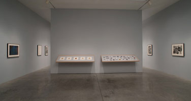 Installation photography, William Brice: Drawings 1960 - 1985 