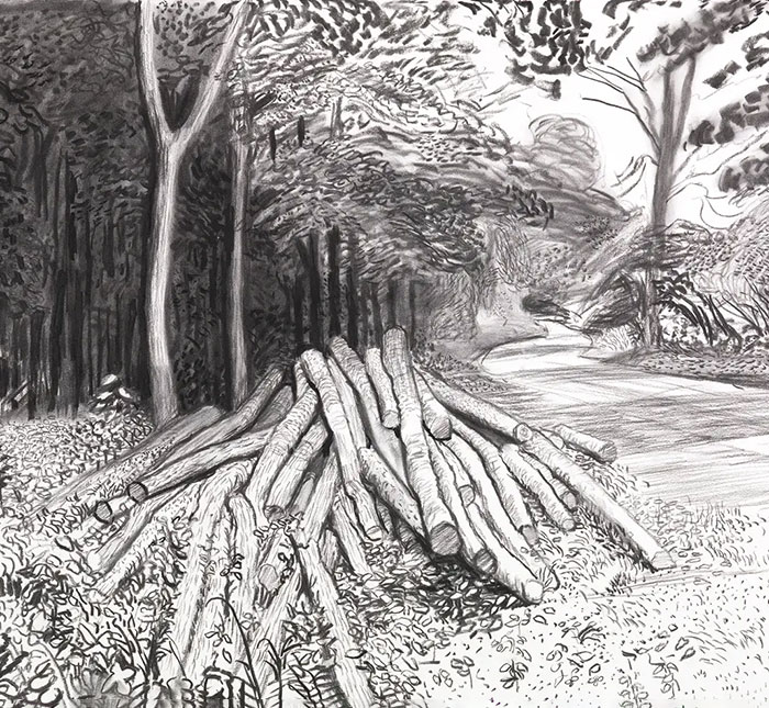 >David Hockney 
      Power of Drawing